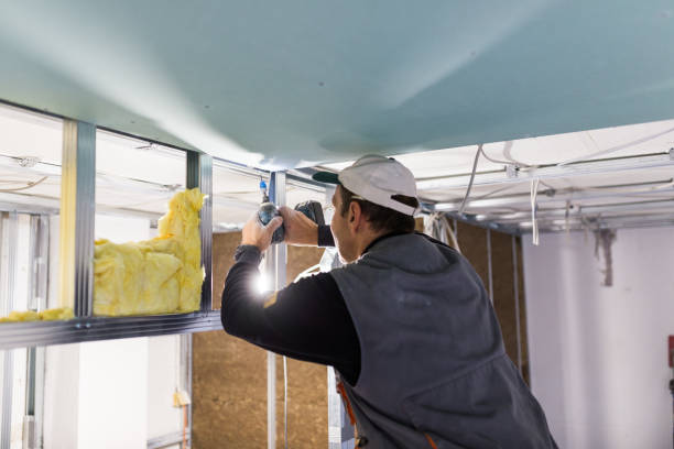 Best Cellulose Insulation  in Cumberland, WI